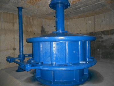 Kaplan Turbine